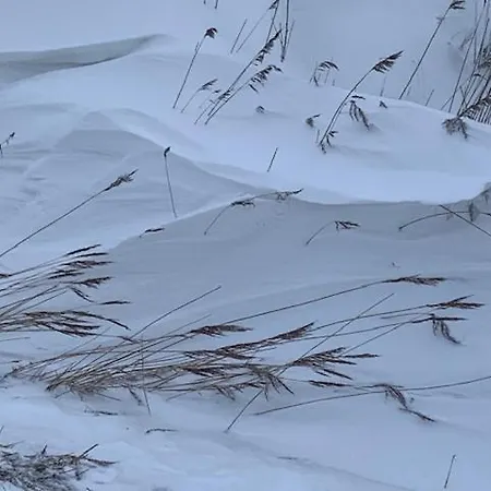 Διαμέρισμα Gulfhof Polder72 Polder72 4 Ine Dornum