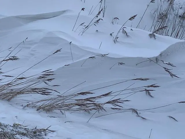 Apartman Gulfhof Polder72 Polder72 4 Ine Dornum